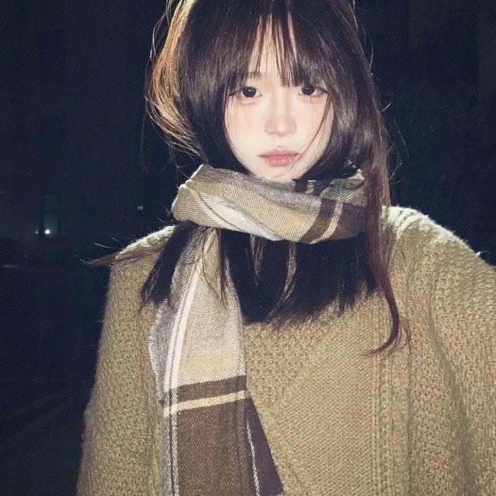 棕榈树森林